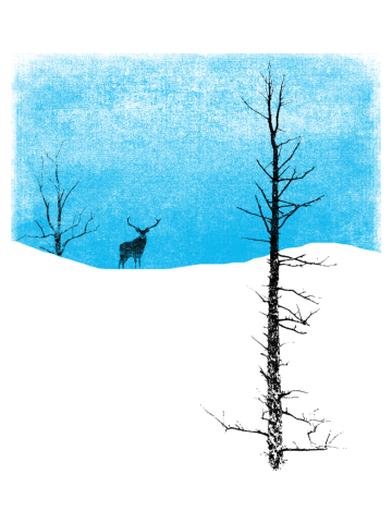 Lonely Tree
