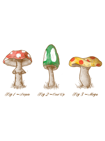 Mario Mycology 
