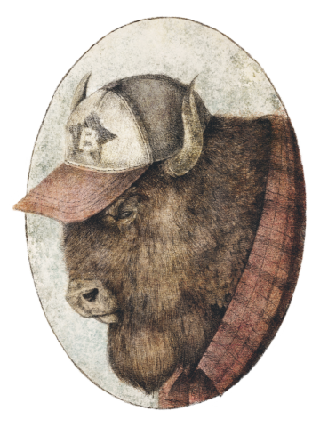 McBison
