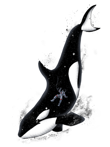 Meanwhile in a whale