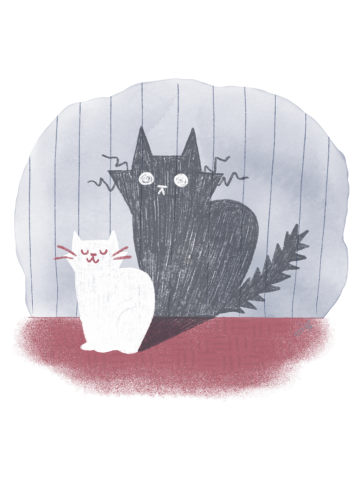 Midnight Crazies