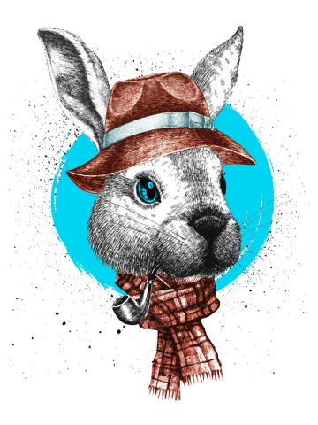 Mr Rabbit