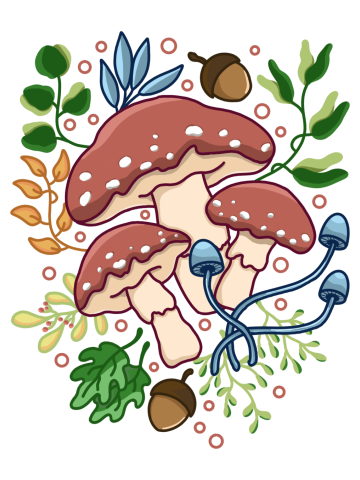 Mushroom and Floral