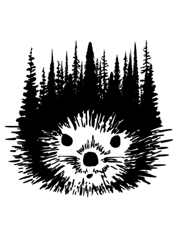 My Hedgehog