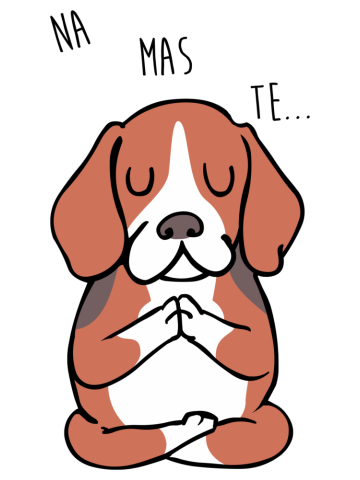 NAMASTE Beagle
