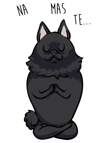 NAMASTE Schipperke