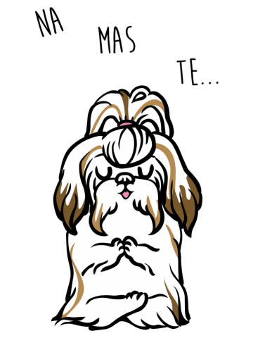 NAMASTE Shih Tzu