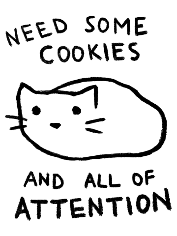Need Some Cookies and All of Attention