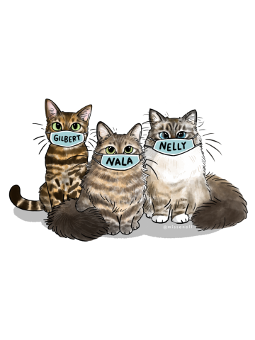 Nelly, Gilbert and Nala with a face-mask