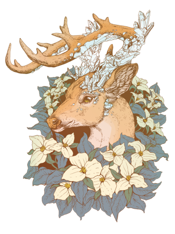Non-typical Blue Quartz Buck
