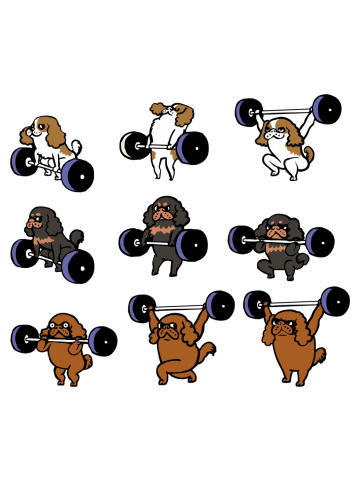 OLYMPIC LIFTING Cavalier King Charles Spaniel