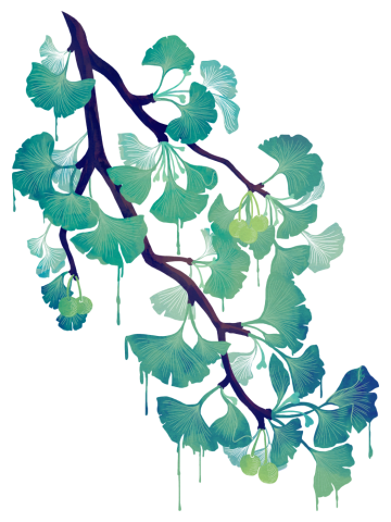 O Ginkgo (in Green)