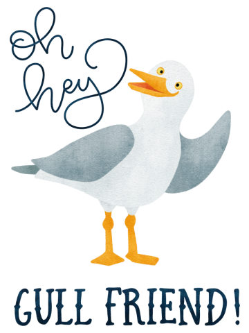 Oh Hey Gull Friend!