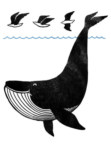 Oh Whale, I'm like a bird