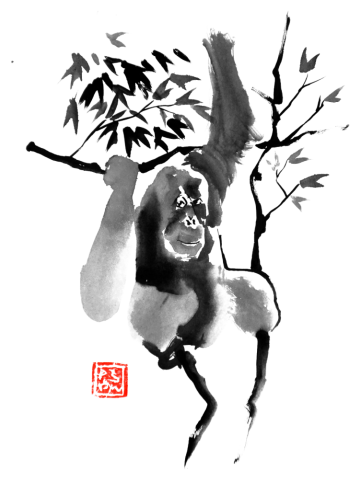 Orangutan in a tree