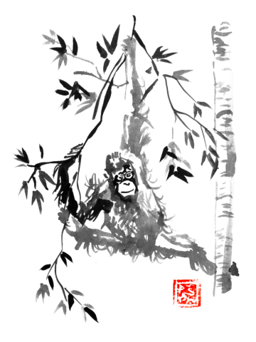 Orangutan in a tree 03