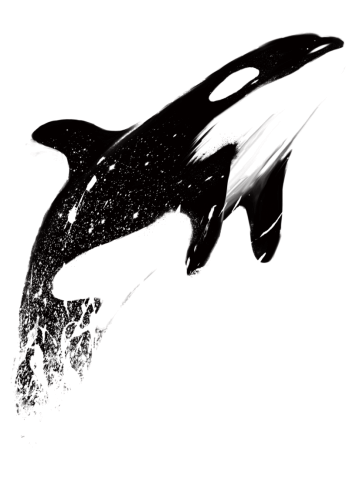Orcas can fly