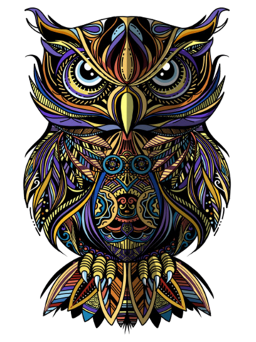 Owl drawn in zentangle style