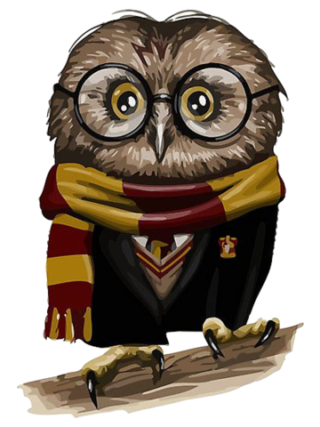 Owly Potter