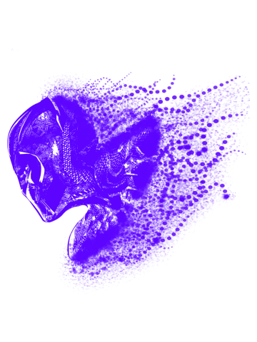 PANTHER.