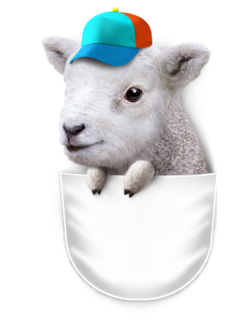 POCKET LAMB WITH CAP