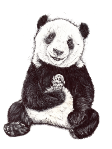 Panda Ice Cream