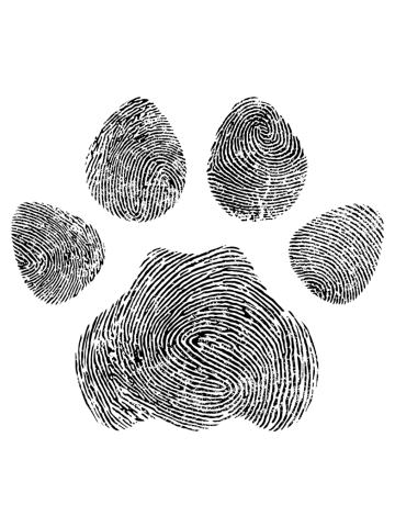 Paw print,