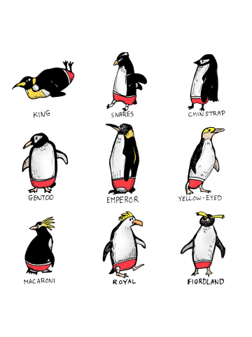 Penguins in Speedos