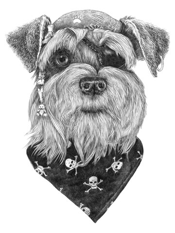 Pirate Schnauzer