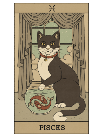 Pisces Cat