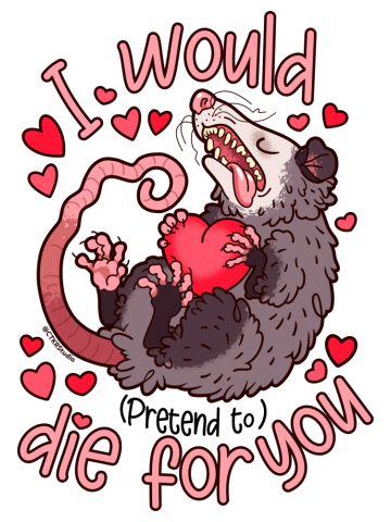 Possum ~ I Would Pretend to Die for You