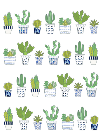 Potted Cactus and Succulents