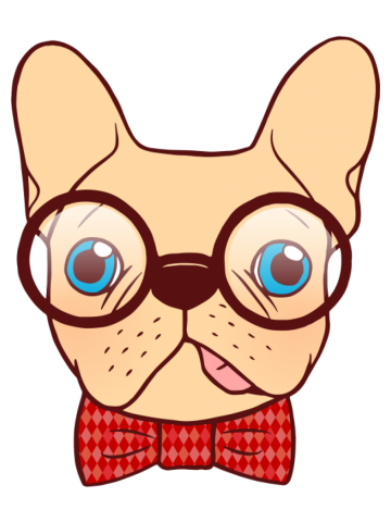 Preppy Frenchie is ready for school with his new bow tie