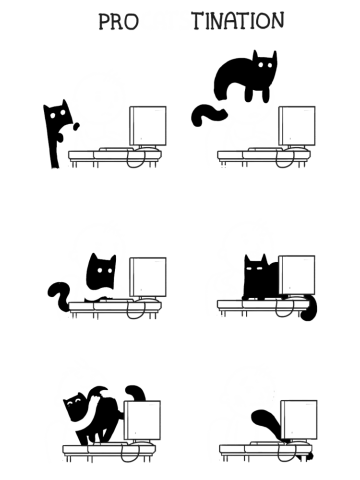 ProCATStination
