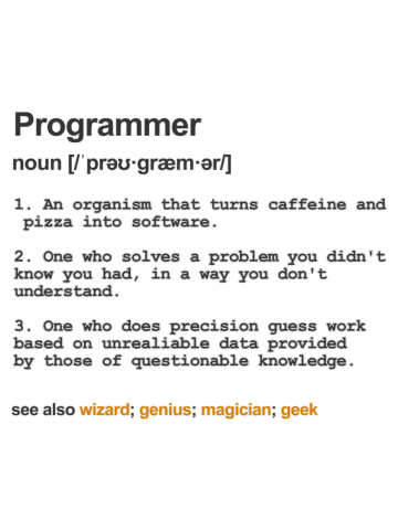 Programmer