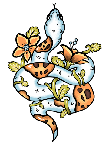 Pumpkin Pied Python Snake with Flowers