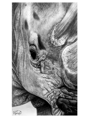 RHINO | 4 of 5 | BIG-5 Series - Charcoal Print
