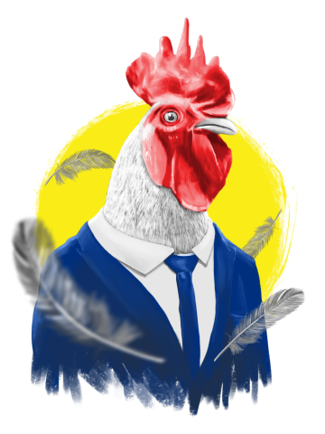ROOSTER MAN