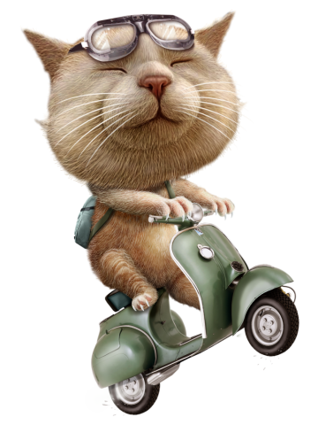 RUNAWAY CATM ON SCOOTER