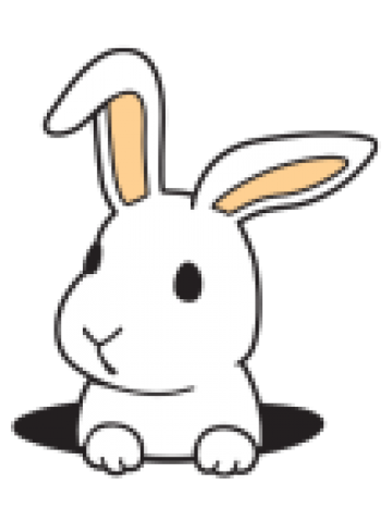 Rabbit Hole