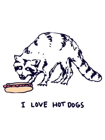 Raccoon loves hot dogs