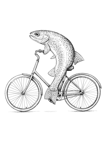 Rainbow Bike Trout
