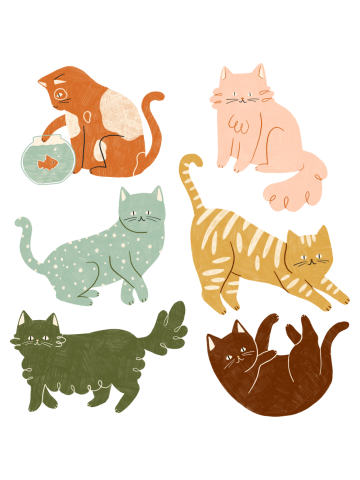 Rainbow Cats