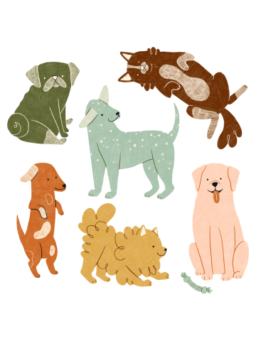 Rainbow Dogs