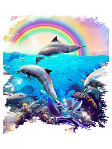 Rainbow Dolphins