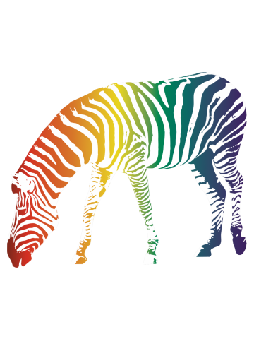 Rainbow zebra