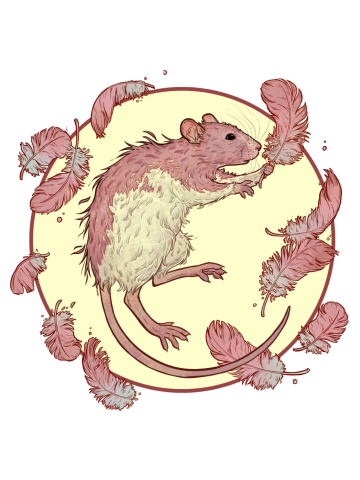 Rat with feathers