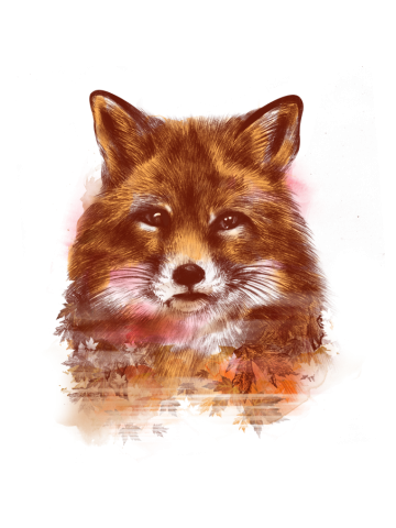 Red Fox 