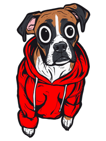 Red Hoodie Boxer Dog