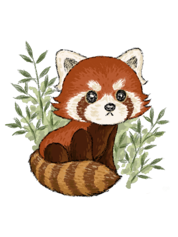 Red panda in nature